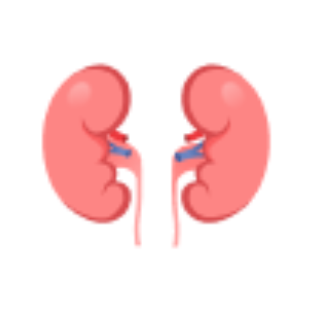 Kidney