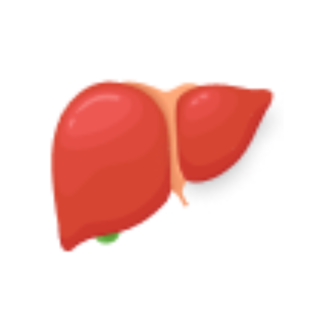 Liver