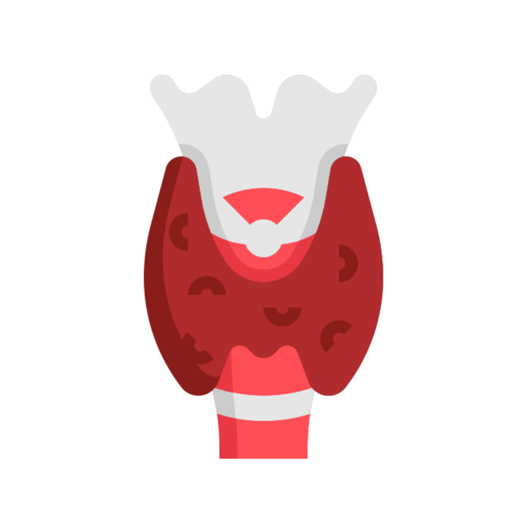 Thyroid Health Package